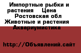 Импортные рыбки и растения  › Цена ­ 20 - Ростовская обл. Животные и растения » Аквариумистика   